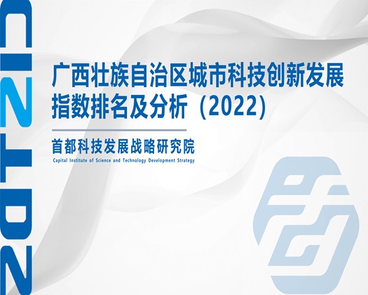 69日逼网站【成果发布】广西壮族自治区城市科技创新发展指数排名及分析（2022）